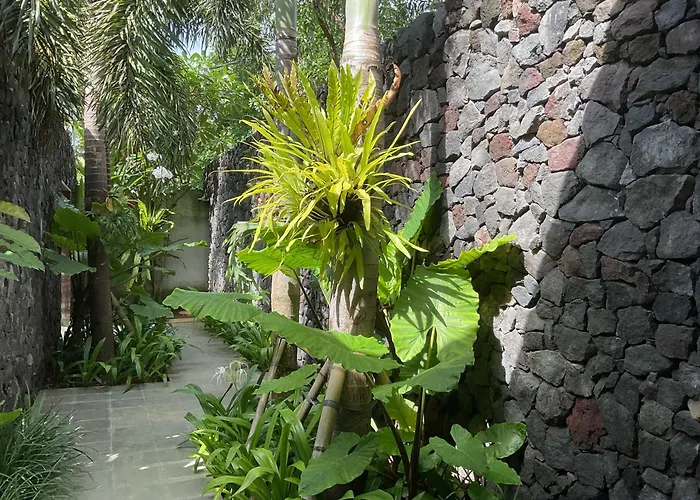Krisna Forest - 3 Bedrooms, Bingin Pecatu Uluwatu (Bali)